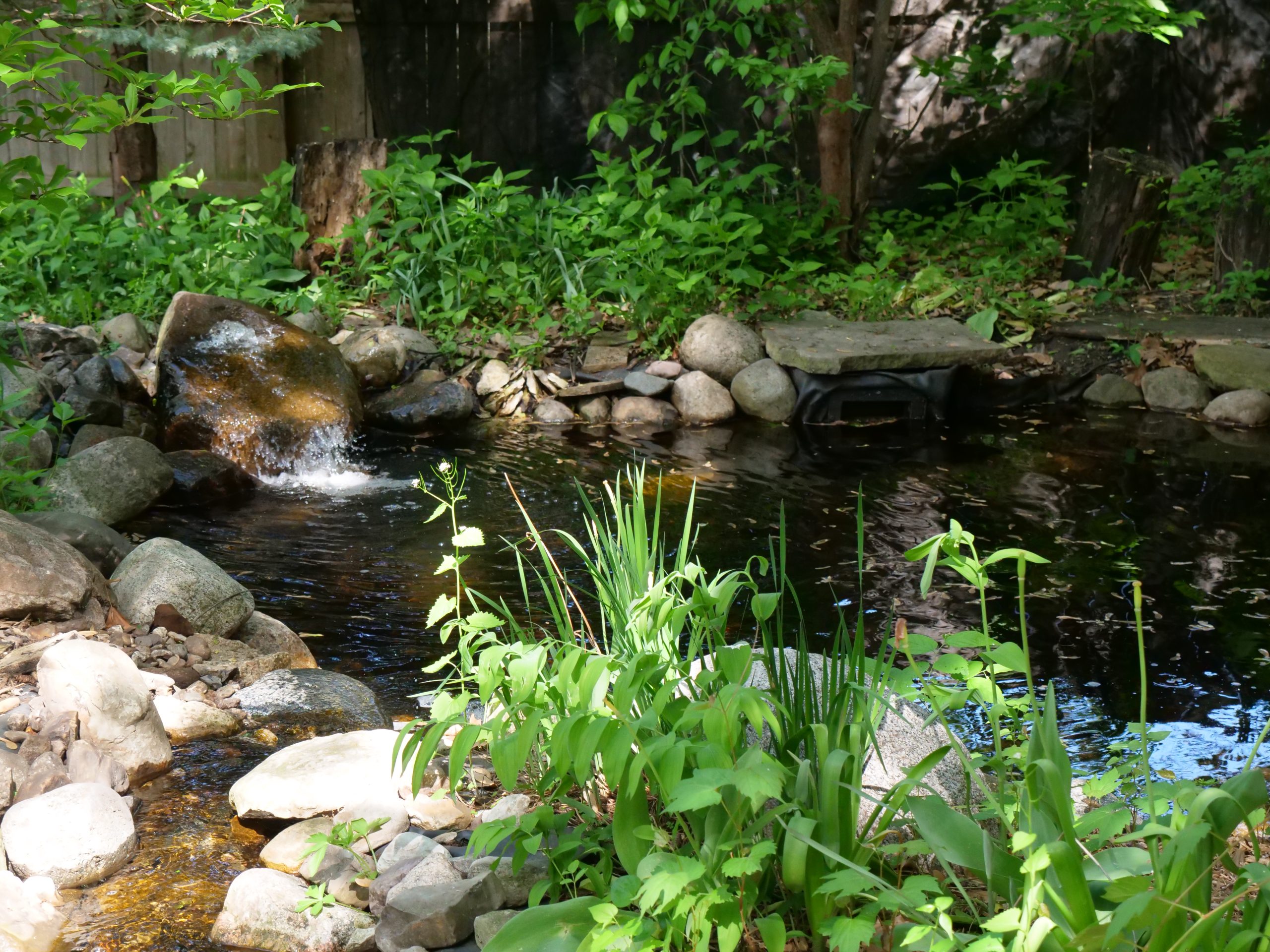 Finished water feature from the Pond Restoration in Des Moines project by Just Add Water