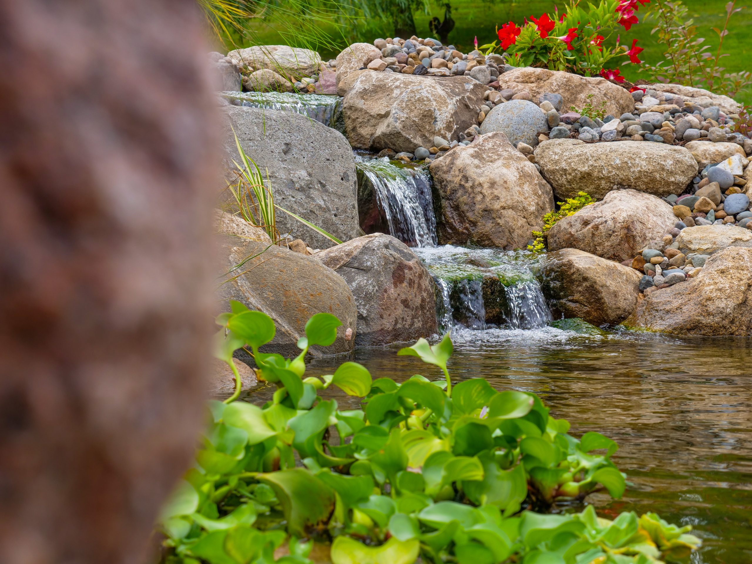 Pond viewed from the porch swing area