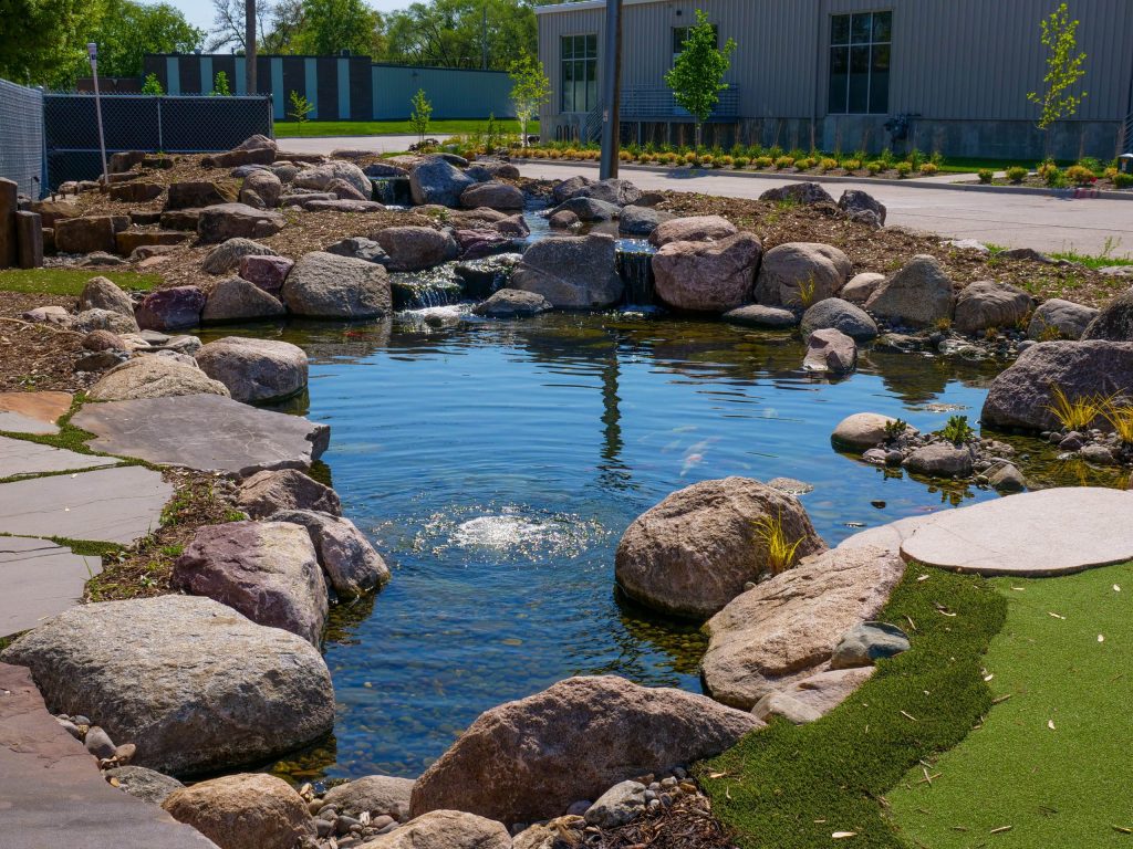 Ecosystem Pond on display at Just Add Water Office