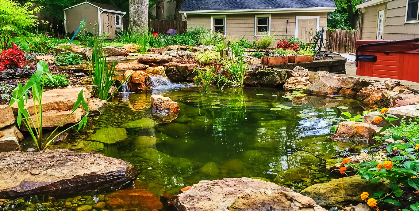 Clear backyard pond with a stone edge, water plants, and a hot tub beyond