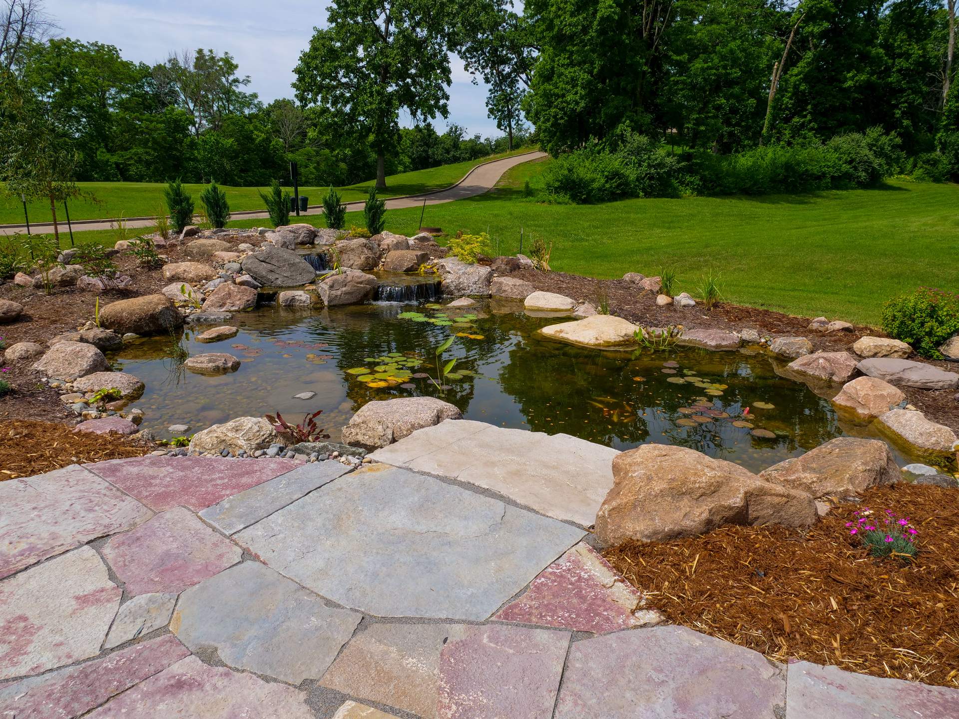 Custom backyard pond with a stone waterfall, boulders, and evergreen plantings