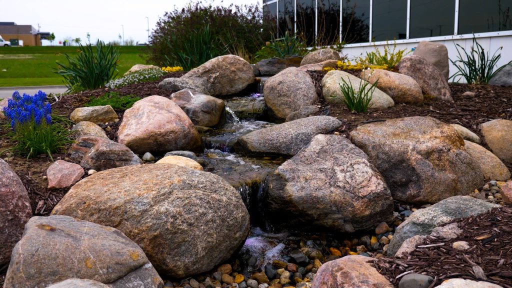 Choosing the Right Pump and Filter