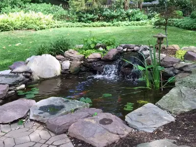 Restored backyard pond with a small waterfall, water lilies, and a paver edge