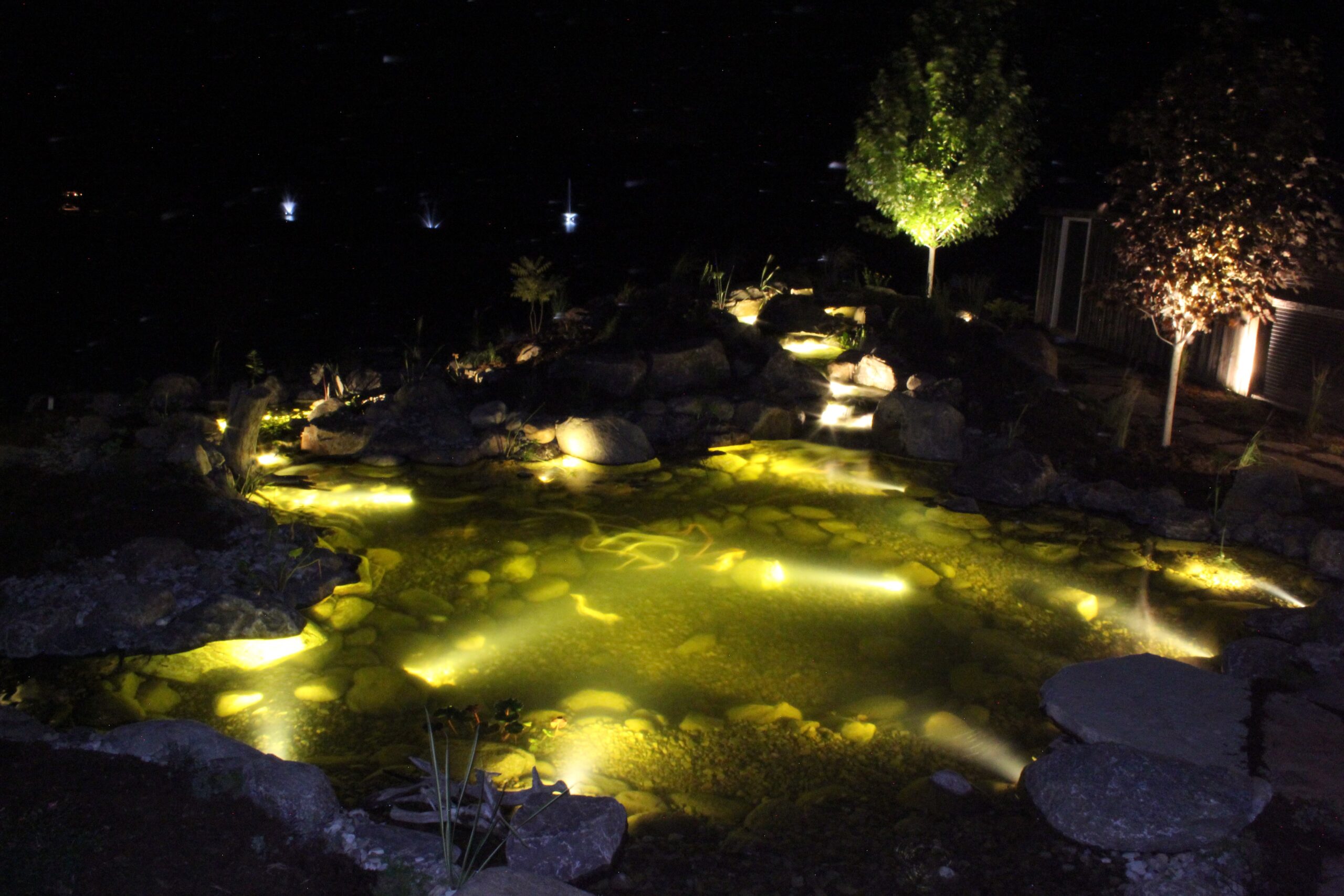 Pond lit from below at night with warm lights on the stream and surrounding trees