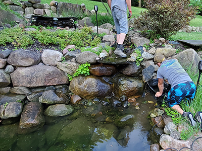 Just Add Water crew cleaning a drained pond by hand along its stone edge
