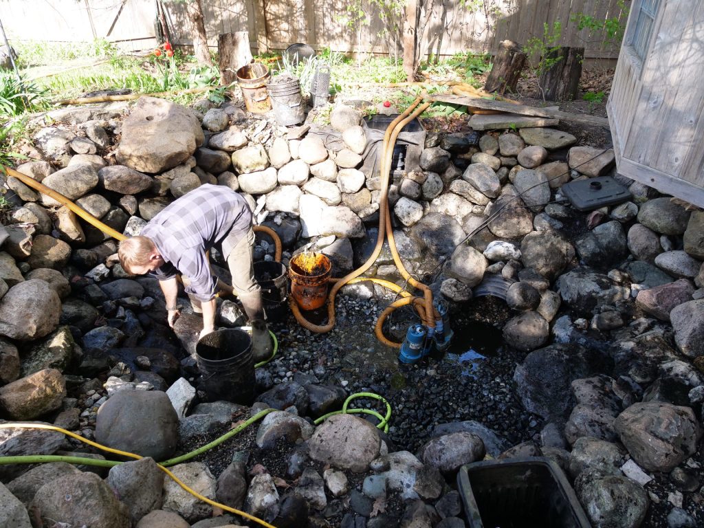 Des Moines pond during the drain and clean restoration