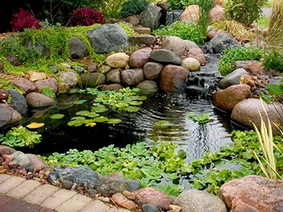 Small maintained pond with water lettuce, a stone waterfall, and a paver border