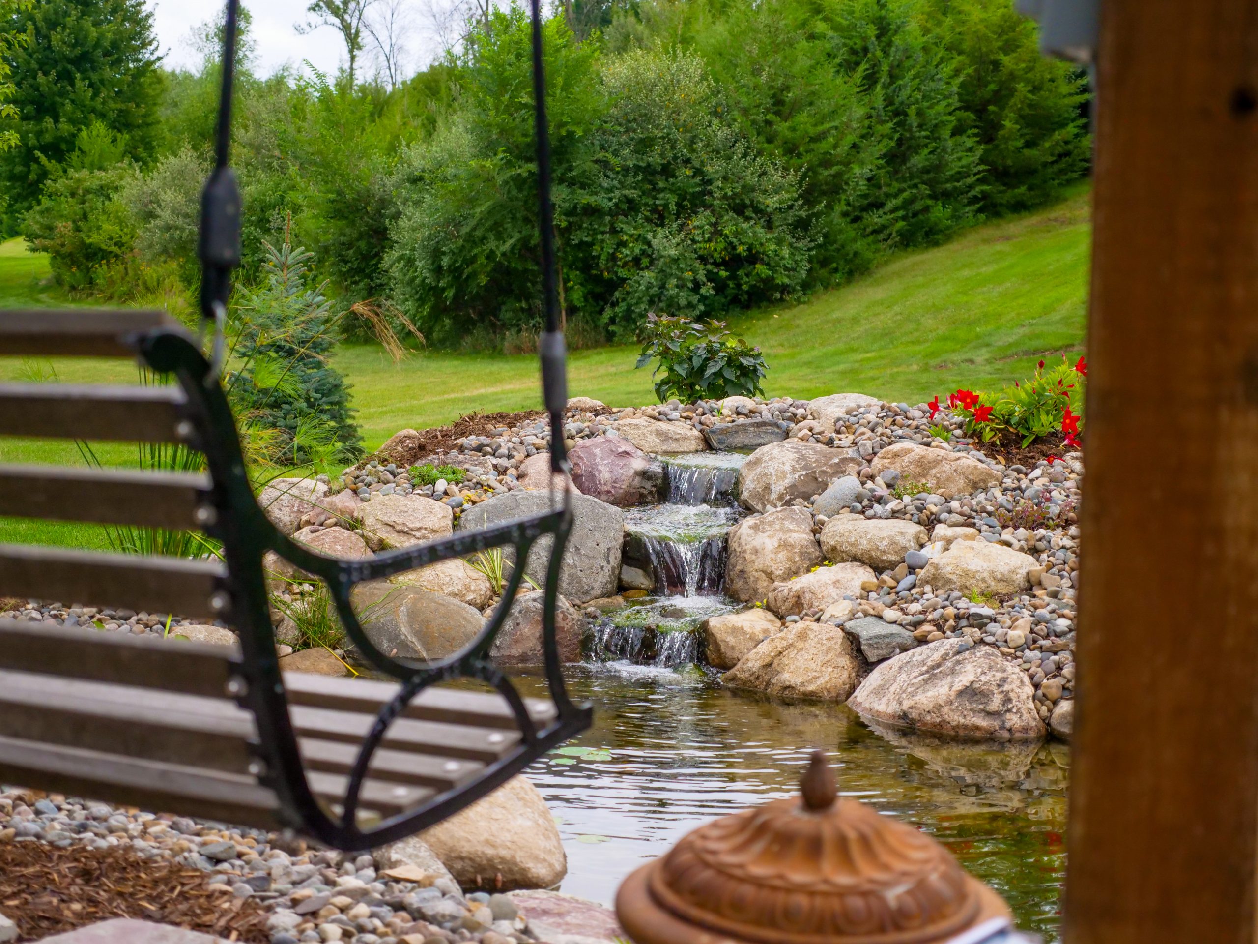 Planted pond edge viewed from the patio