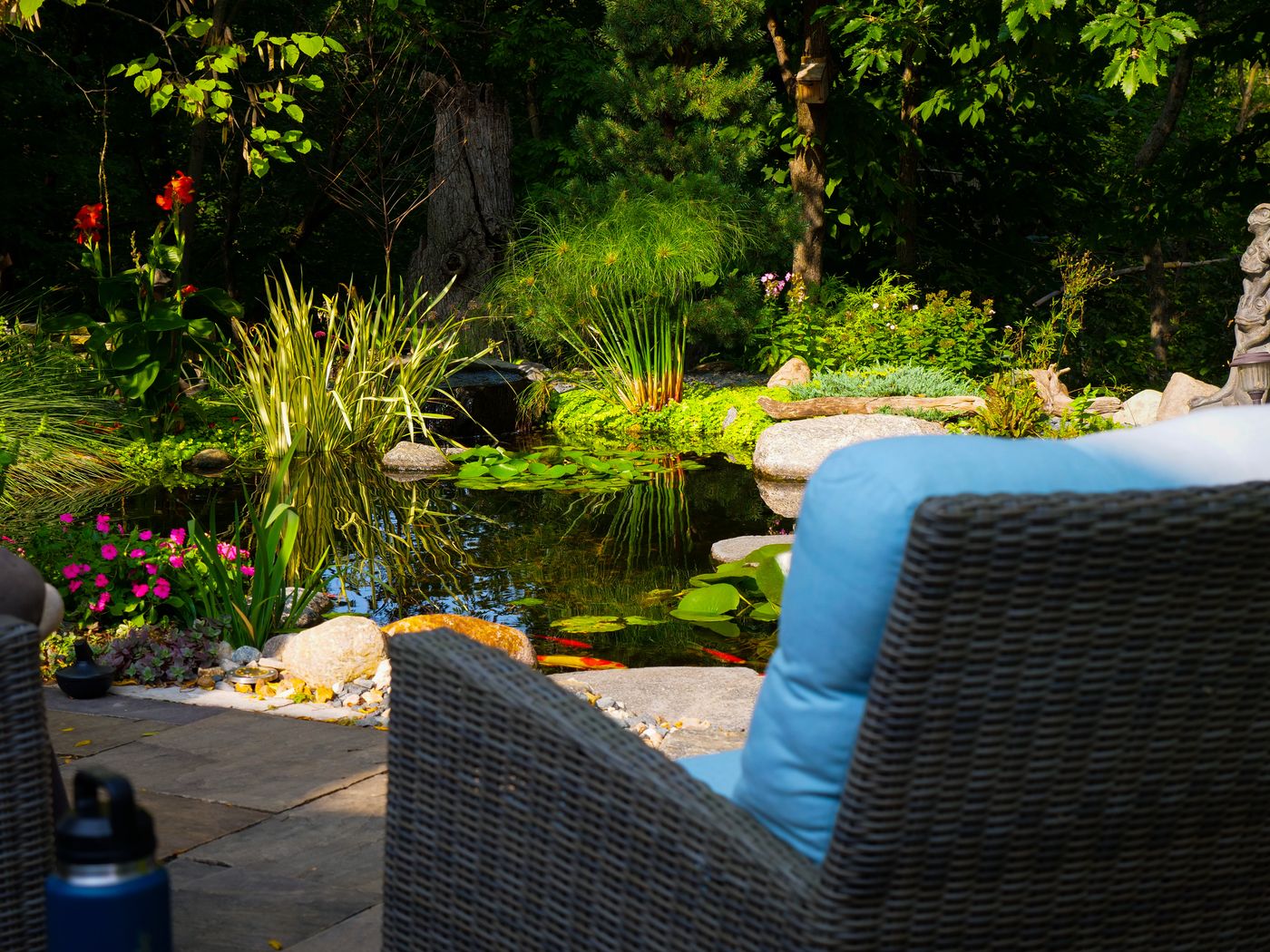 Evening view of a planted pond from a patio with wicker seating