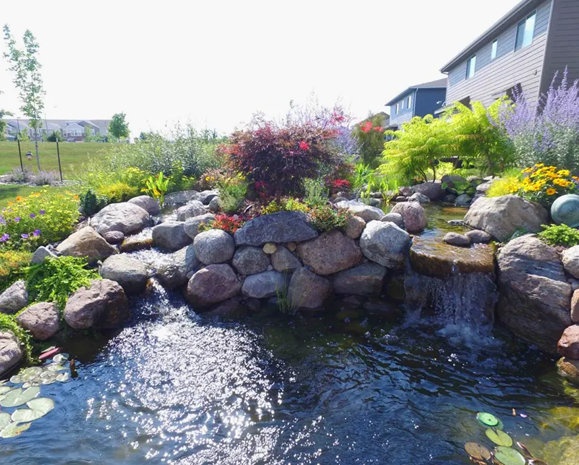 Des Moines backyard pond in spring with a boulder waterfall and flowering shrubs