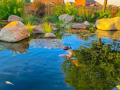 Deep blue recreational pond ringed with boulders and ornamental grasses