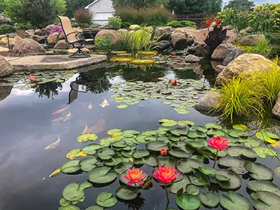 Recreational pond with water lilies and a lounge chair at the water's edge