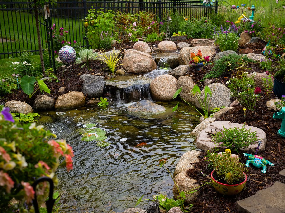 Mid-size pond with a stone waterfall, aquatic plants, and garden flowers