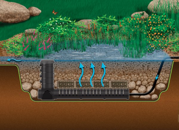 Diagram Of A Wetland Filtration System 600x437 1 