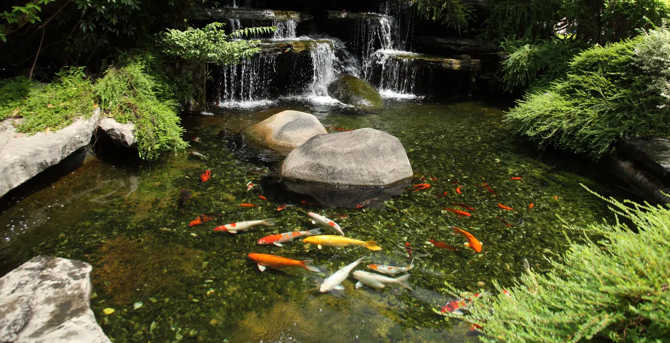 Ponds