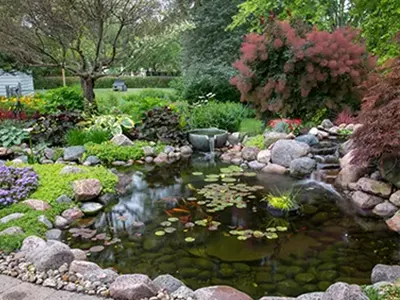 Lush garden with pond and colorful plants.