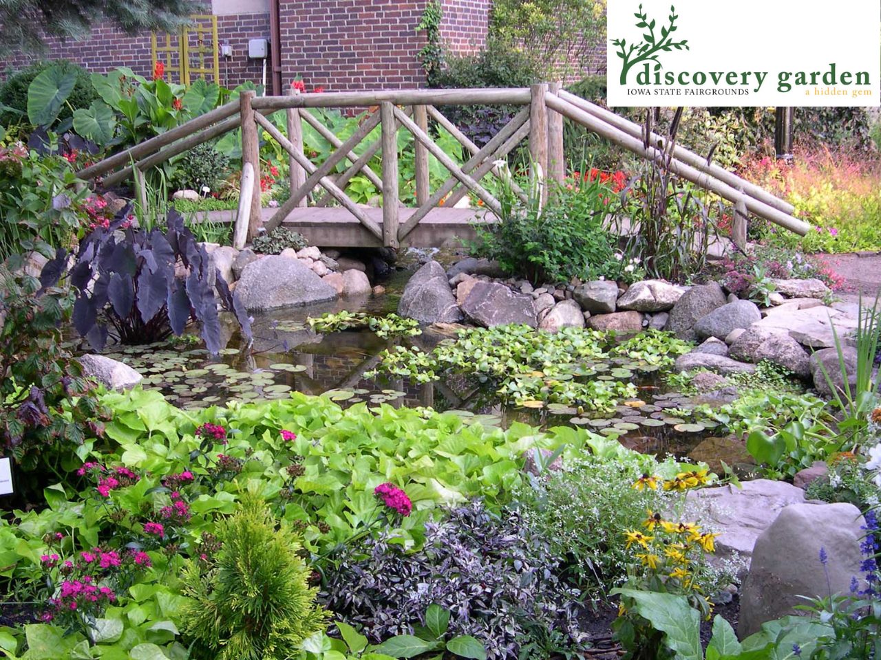 Discovery Garden clean-out class