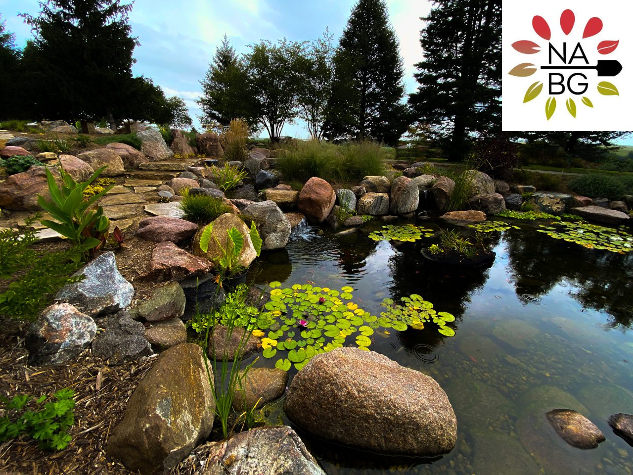 Newton Arboretum clean-out class